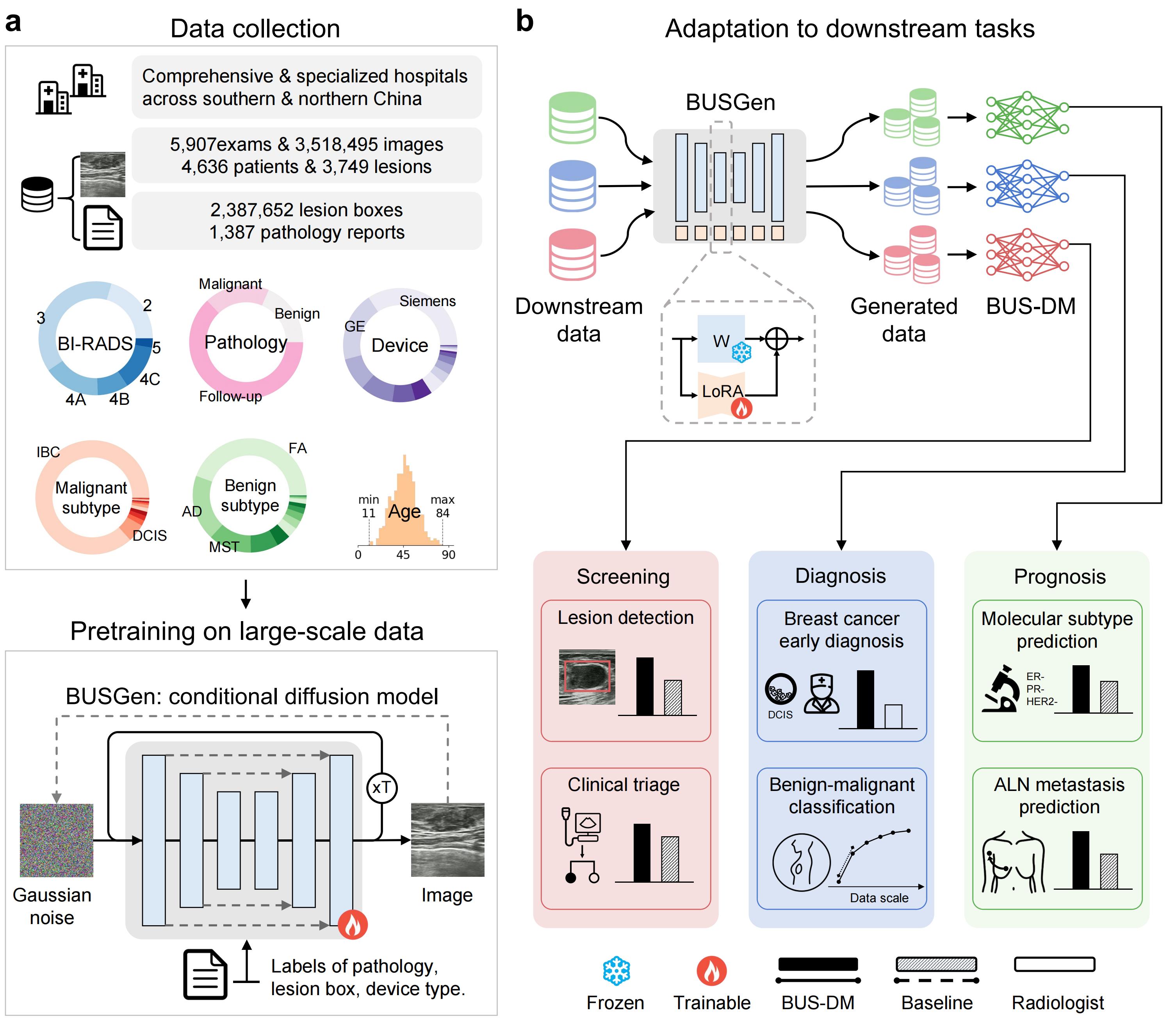 Schematic overview of the BUSGen framework