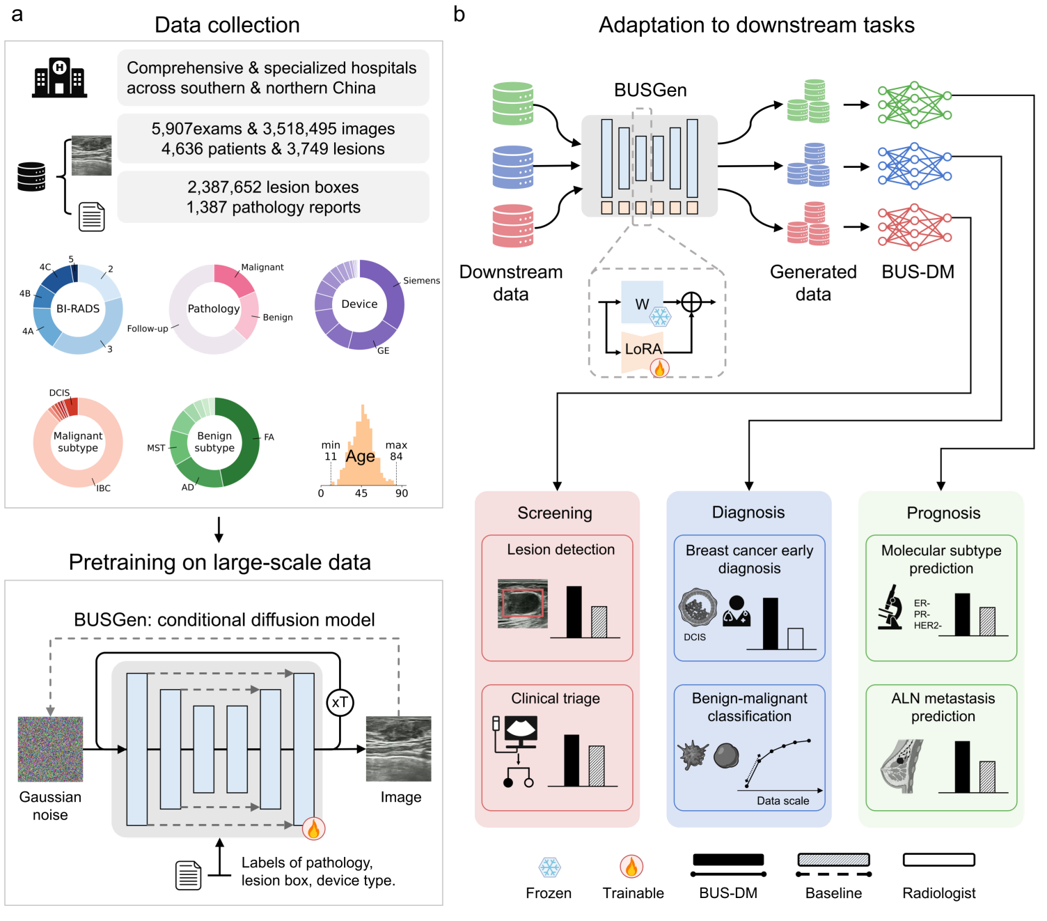 Schematic overview of the BUSGen framework